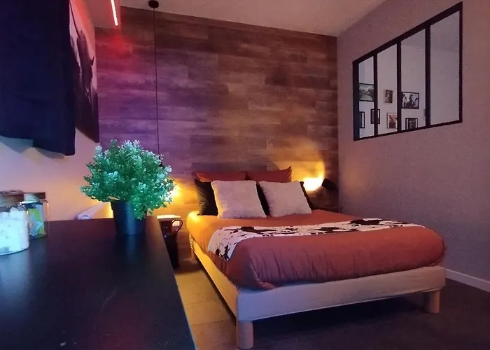 Apartment Salle De Jeux Centre Vachement Normand *